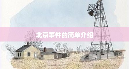 北京事件的简单介绍