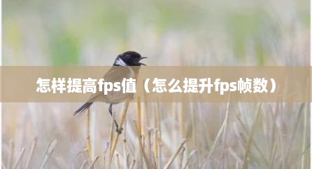 怎样提高fps值（怎么提升fps帧数）