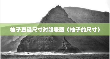 柚子直径尺寸对照表图（柚子的尺寸）