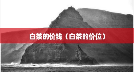白茶的价钱（白茶的价位）