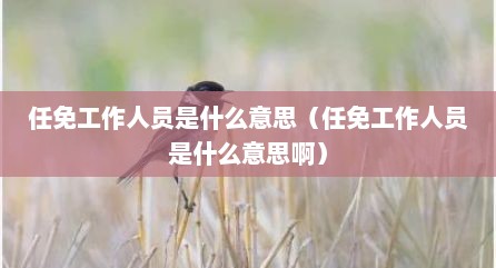 任免工作人员是什么意思（任免工作人员是什么意思啊）