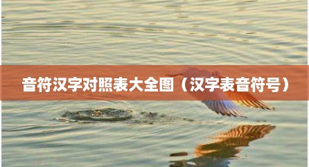 音符汉字对照表大全图（汉字表音符号）