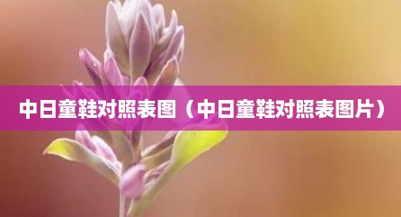 中日童鞋对照表图（中日童鞋对照表图片）