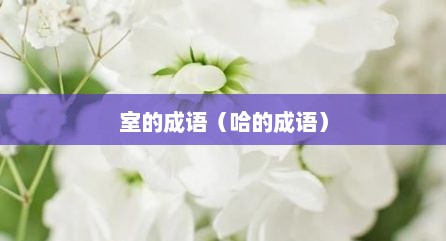 室的成语（哈的成语）