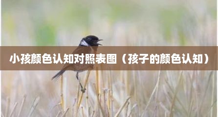 小孩颜色认知对照表图（孩子的颜色认知）