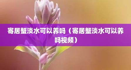 寄居蟹淡水可以养吗（寄居蟹淡水可以养吗视频）