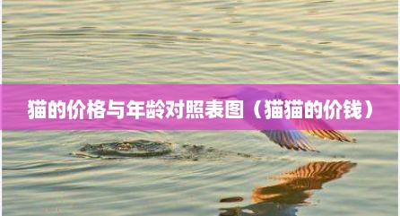 猫的价格与年龄对照表图（猫猫的价钱）