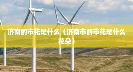 济南的市花是什么（济南市的市花是什么花朵）