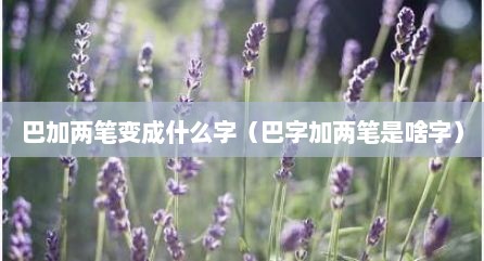 巴加两笔变成什么字（巴字加两笔是啥字）
