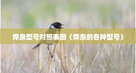 焊条型号对照表图（焊条的各种型号）