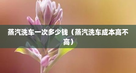 蒸汽洗车一次多少钱（蒸汽洗车成本高不高）