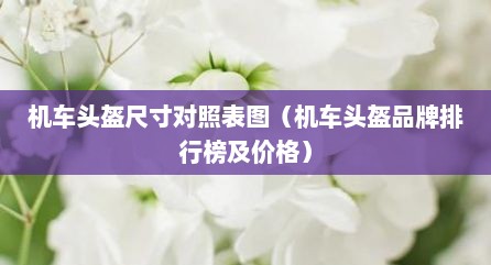 机车头盔尺寸对照表图（机车头盔品牌排行榜及价格）
