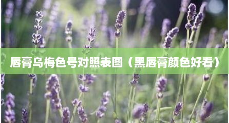 唇膏乌梅色号对照表图（黑唇膏颜色好看）