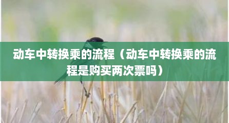 动车中转换乘的流程（动车中转换乘的流程是购买两次票吗）