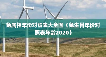 兔生肖对应年份（兔属相年份列表）