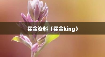 霍金资料（霍金king）