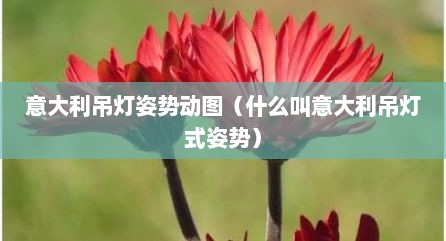 意大利吊灯姿势动图（什么叫意大利吊灯式姿势）