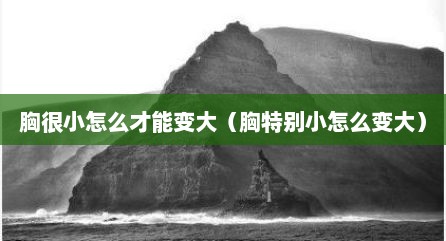 胸很小怎么才能变大（胸特别小怎么变大）