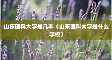 山东医科大学是几本（山东医科大学是什么学校）