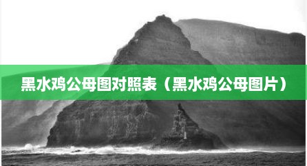 黑水鸡公母图对照表（黑水鸡公母图片）