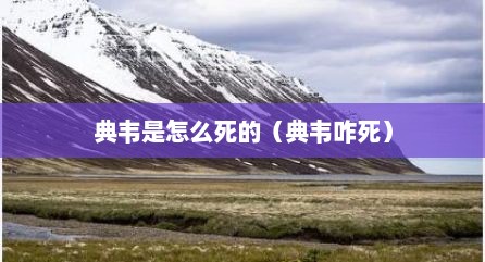 典韦是怎么死的（典韦咋死）