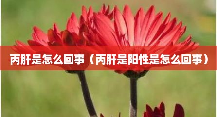 丙肝是怎么回事（丙肝是阳性是怎么回事）