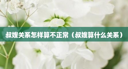 叔嫂关系怎样算不正常（叔嫂算什么关系）