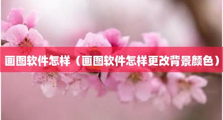 画图软件怎样（画图软件怎样更改背景颜色）