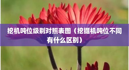 挖机吨位级别对照表图（挖掘机吨位不同有什么区别）