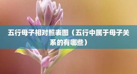 五行母子相对照表图（五行中属于母子关系的有哪些）