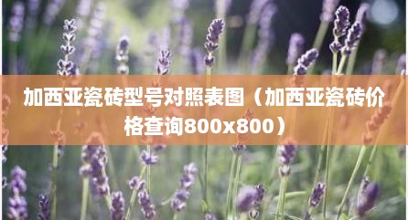 加西亚瓷砖型号对照表图（加西亚瓷砖价格查询800x800）