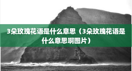 3朵玫瑰花语是什么意思（3朵玫瑰花语是什么意思啊图片）
