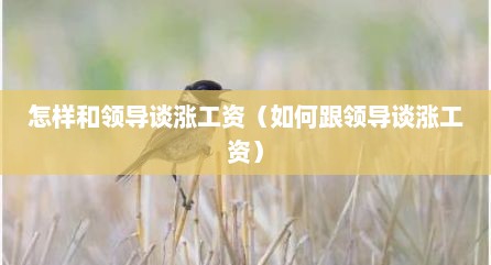 怎样和领导谈涨工资（如何跟领导谈涨工资）