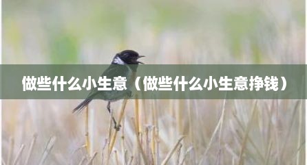 做些什么小生意（做些什么小生意挣钱）