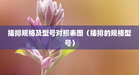 插排规格及型号对照表图（插排的规格型号）
