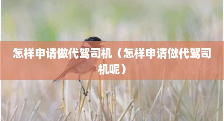 怎样申请做代驾司机（怎样申请做代驾司机呢）