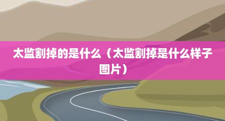 太监割掉的是什么（太监割掉是什么样子图片）
