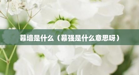 幕墙是什么（幕强是什么意思呀）