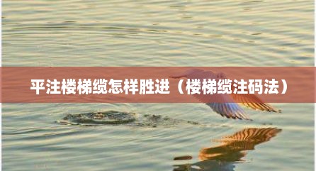 平注楼梯缆怎样胜进（楼梯缆注码法）