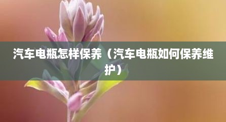 汽车电瓶怎样保养（汽车电瓶如何保养维护）