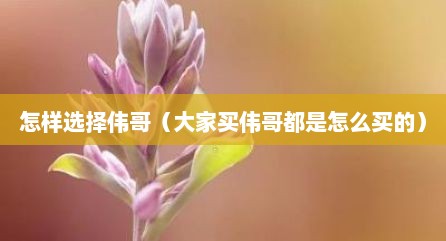 怎样选择伟哥（大家买伟哥都是怎么买的）