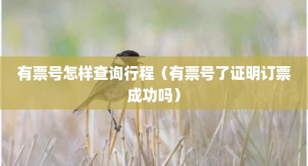 有票号怎样查询行程（有票号了证明订票成功吗）