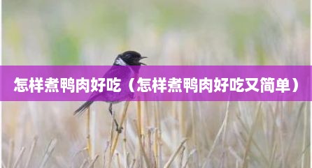 怎样煮鸭肉好吃（怎样煮鸭肉好吃又简单）