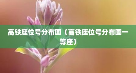 高铁座位号分布图（高铁座位号分布图一等座）