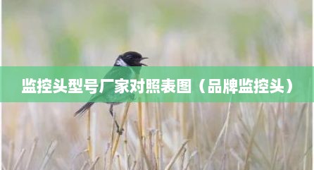 监控头型号厂家对照表图（品牌监控头）