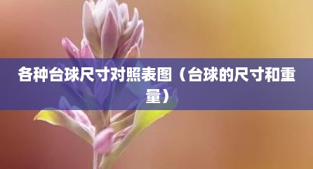 各种台球尺寸对照表图（台球的尺寸和重量）