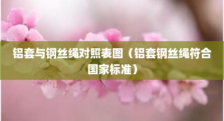 铝套与钢丝绳对照表图（铝套钢丝绳符合国家标准）