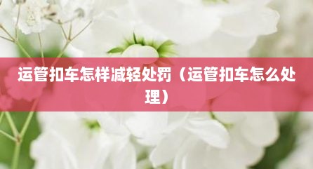 运管扣车怎样减轻处罚（运管扣车怎么处理）