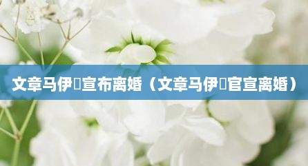 文章马伊琍宣布离婚（文章马伊琍官宣离婚）