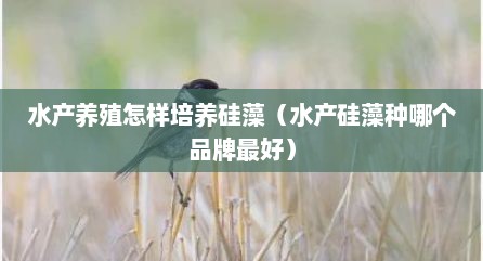 水产养殖怎样培养硅藻（水产硅藻种哪个品牌最好）